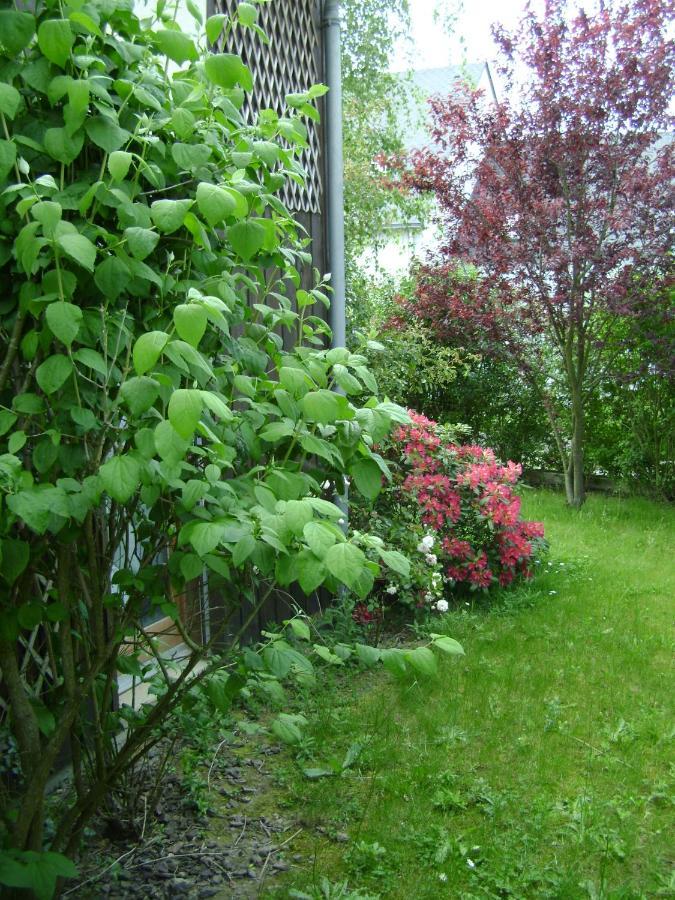 Bed and Breakfast Maison La Chapelle Екстер'єр фото